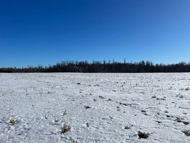 $650,000 | 1559 Stone Lake Road Southwest, Bemidji, MN 56601