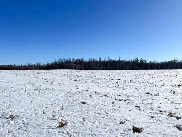 $650,000 | 1559 Stone Lake Road Southwest, Bemidji, MN 56601