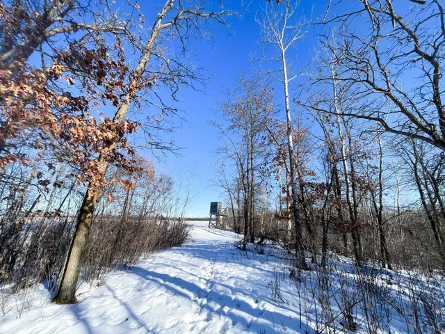 $650,000 | 1559 Stone Lake Road Southwest, Bemidji, MN 56601