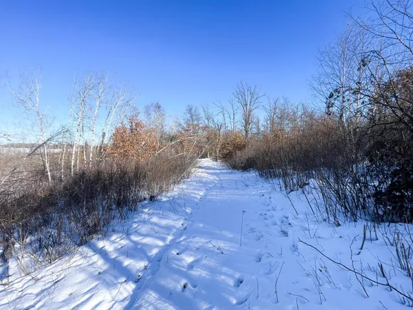 $650,000 | 1559 Stone Lake Road Southwest, Bemidji, MN 56601