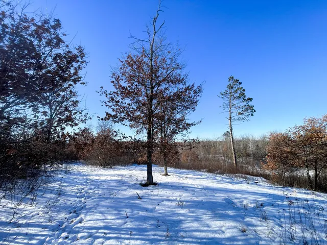 $650,000 | 1559 Stone Lake Road Southwest, Bemidji, MN 56601