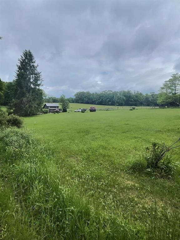 a view of a field with an trees in the background