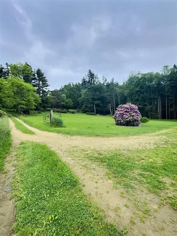a view of a field of grass and trees