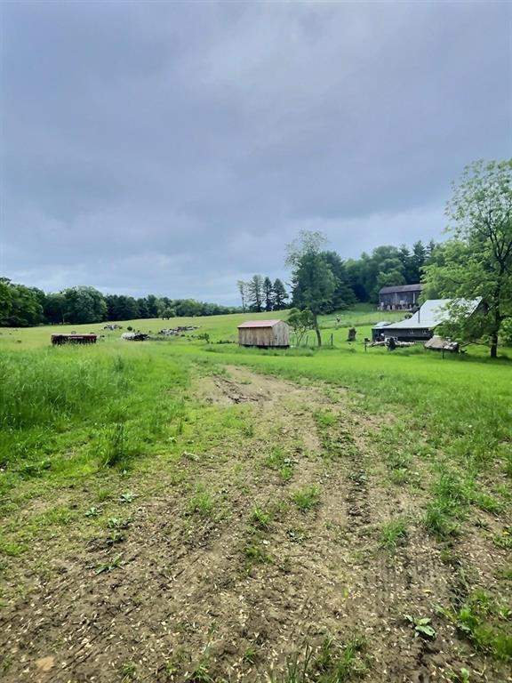 1029 Greenwood Road Marienville, PA 16239 - Photo 15 of 20 a backyard of a house with a yard and outdoor seating