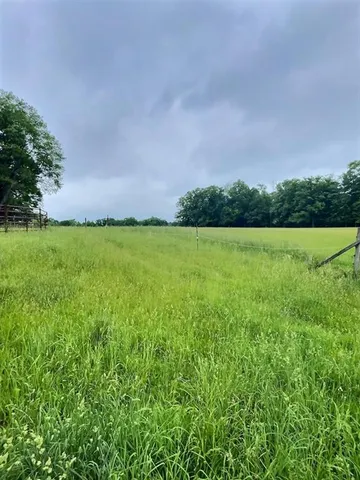 a view of field with trees in the background