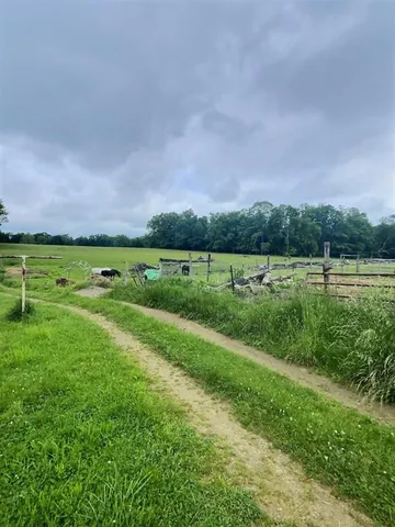 a view of a green field with trees in the background