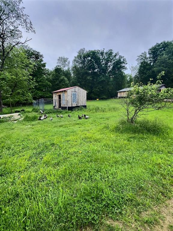 1029 Greenwood Road Marienville, PA 16239 - Photo 20 of 20 a garden view