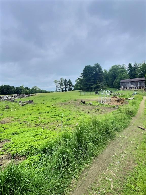 1029 Greenwood Road Marienville, PA 16239 - Photo 4 of 20 a view of a golf course with a yard