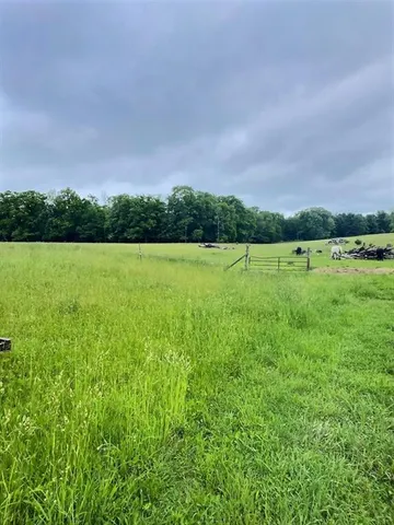 a view of an ocean from a yard