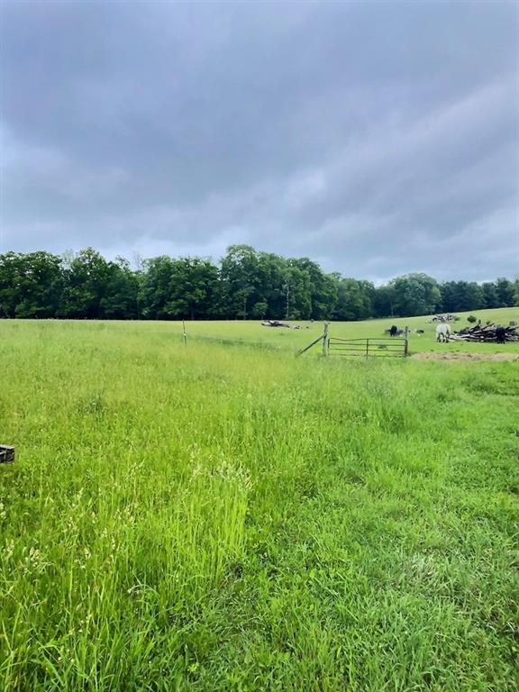 1029 Greenwood Road Marienville, PA 16239 - Photo 8 of 20 a view of an ocean from a yard
