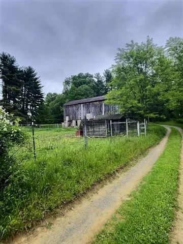 a view of a backyard with a garden and plants