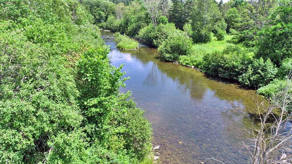 Lot 7 Drews Lake Road Houlton, ME 04730 - Photo 25 of 34 maine-waterfront-river-land