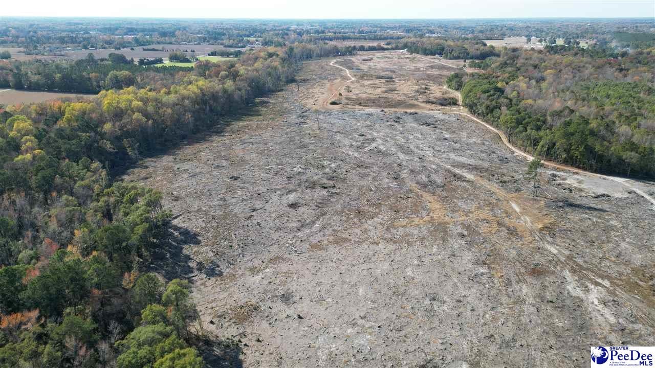 Tbd Old Florence Road Darlington, SC 29532 - Photo 6 of 15 Gallery Image 6