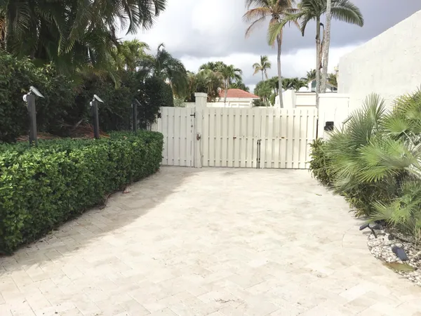 a view of backyard and trees