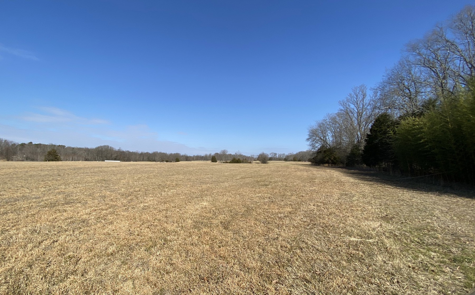 482 Vanntown Road Elora, TN 37328 - Photo 2 of 2 a view of lake and mountain