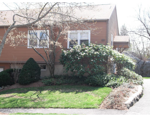 a view of a back yard