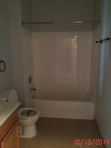 3522 South State Street, Unit 301 Chicago, IL 60609 - Photo 11 of 12 a bathroom with a toilet and a shower