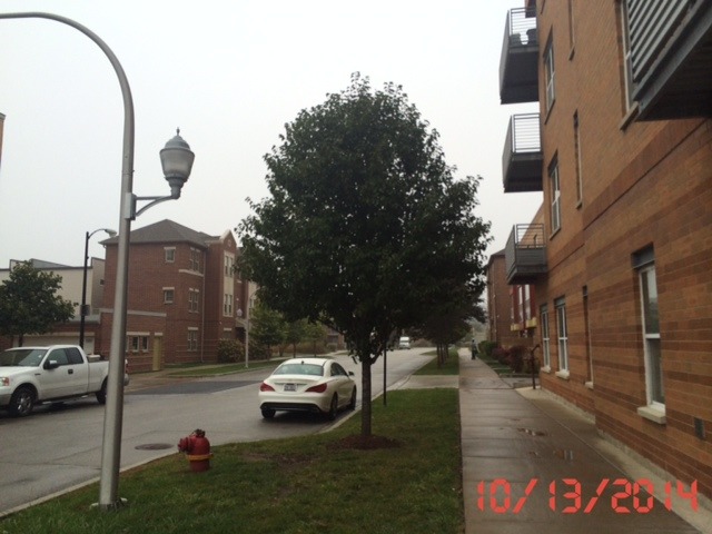 3522 South State Street, Unit 301 Chicago, IL 60609 - Photo 3 of 12 a car parked on the side of a street