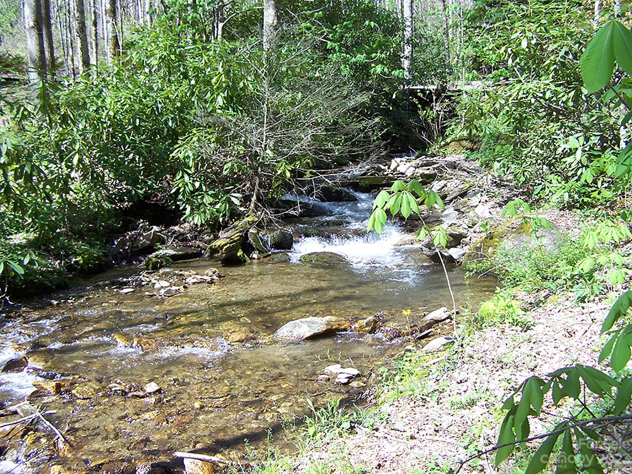 a view of a tree with a yard
