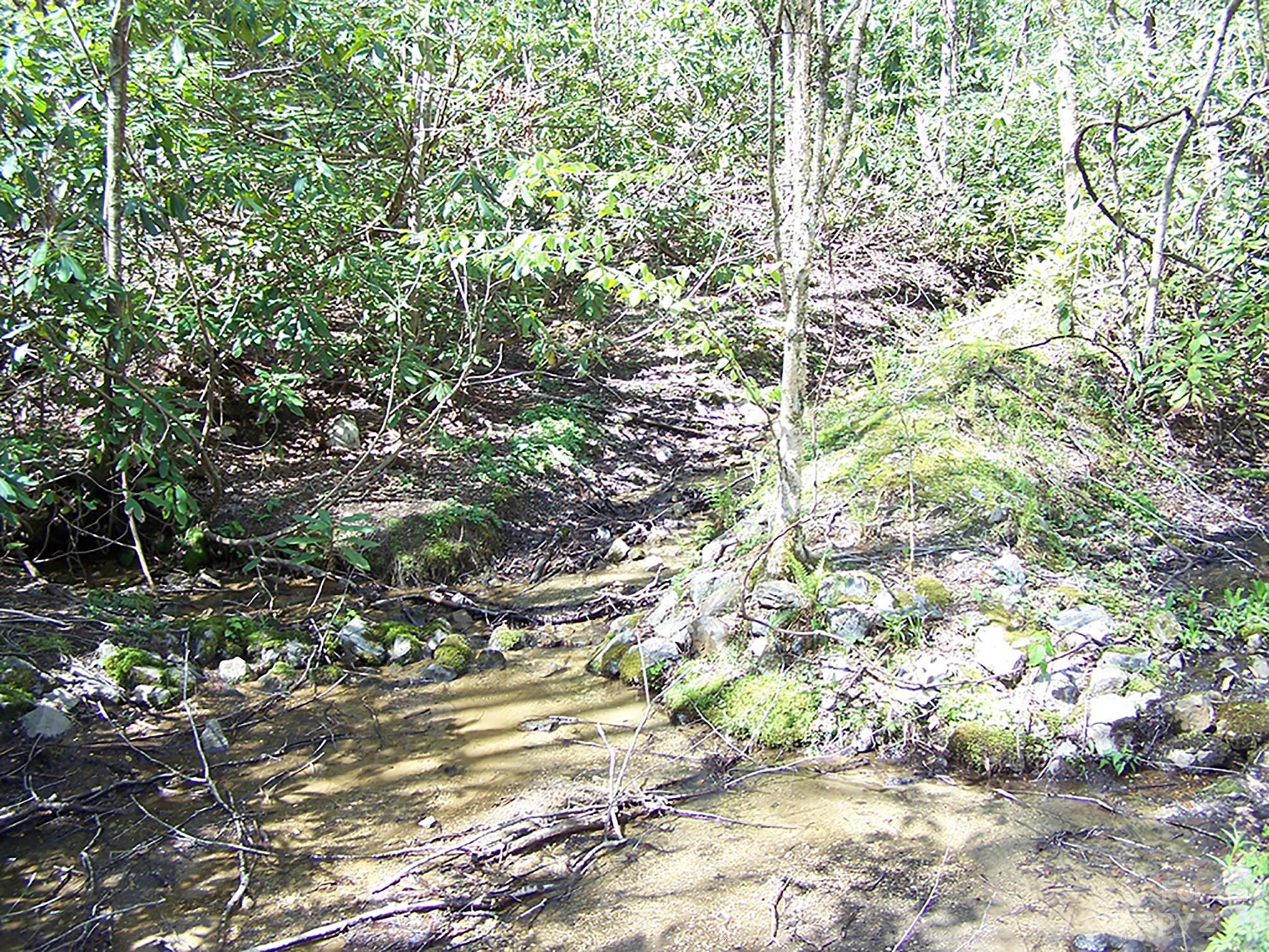 0 Chestnut Flats Road, Unit 13 Waynesville, NC 28786 - Photo 11 of 41 a view of outdoor space with large trees