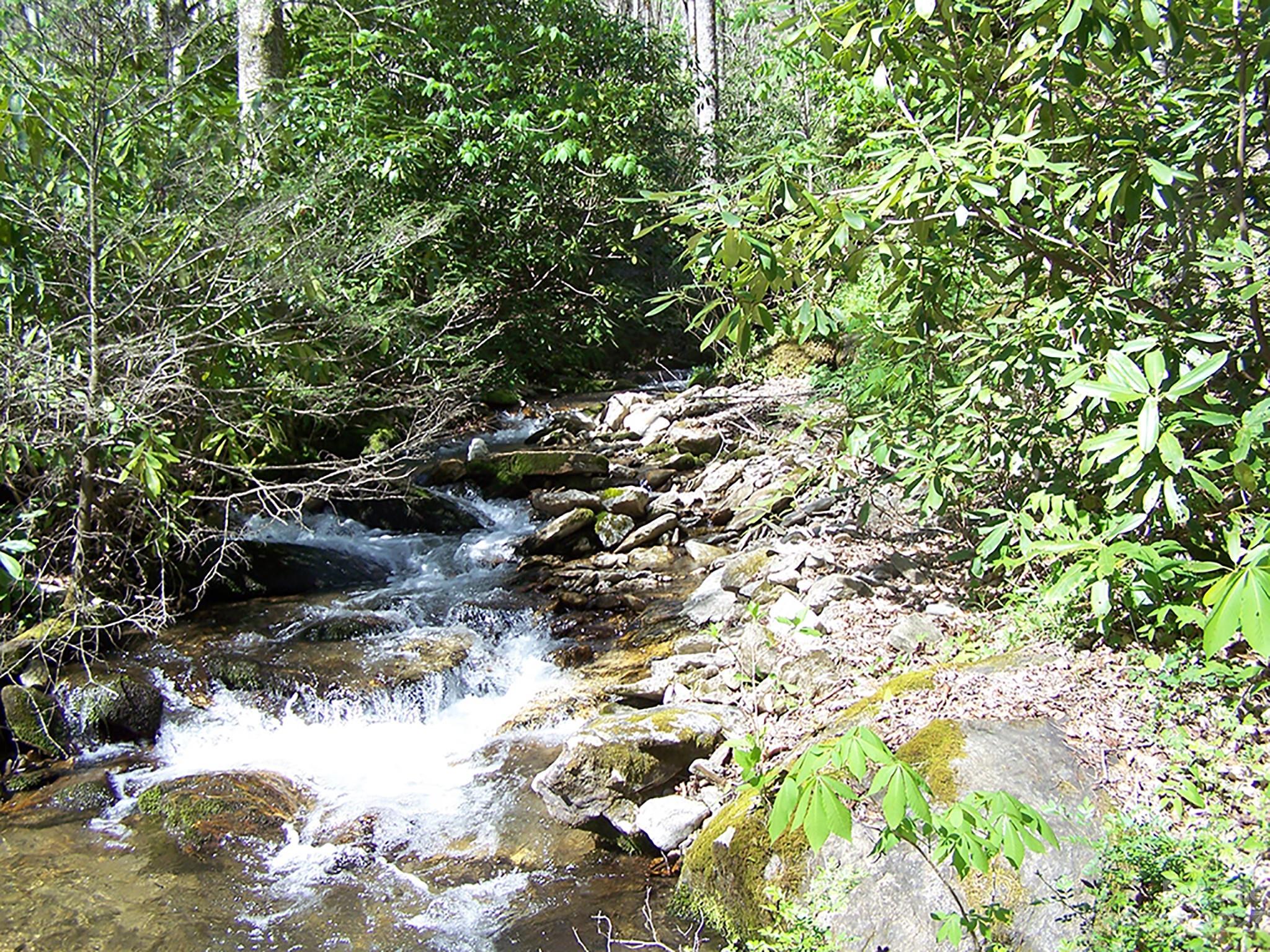 0 Chestnut Flats Road, Unit 13 Waynesville, NC 28786 - Photo 14 of 41 a view of a lake with wooden fence