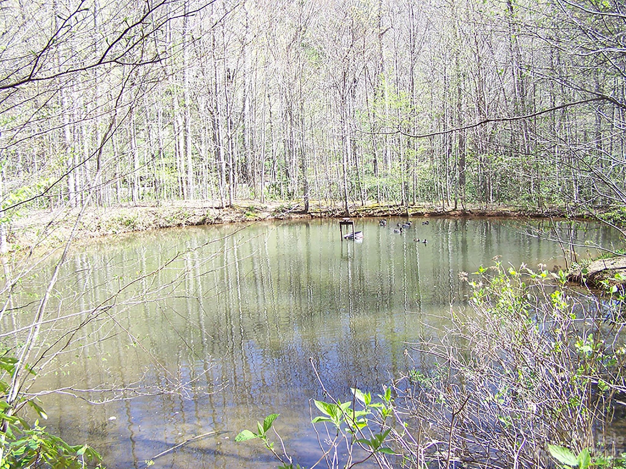 0 Chestnut Flats Road, Unit 13 Waynesville, NC 28786 - Photo 16 of 41 a view of a lake with a big yard