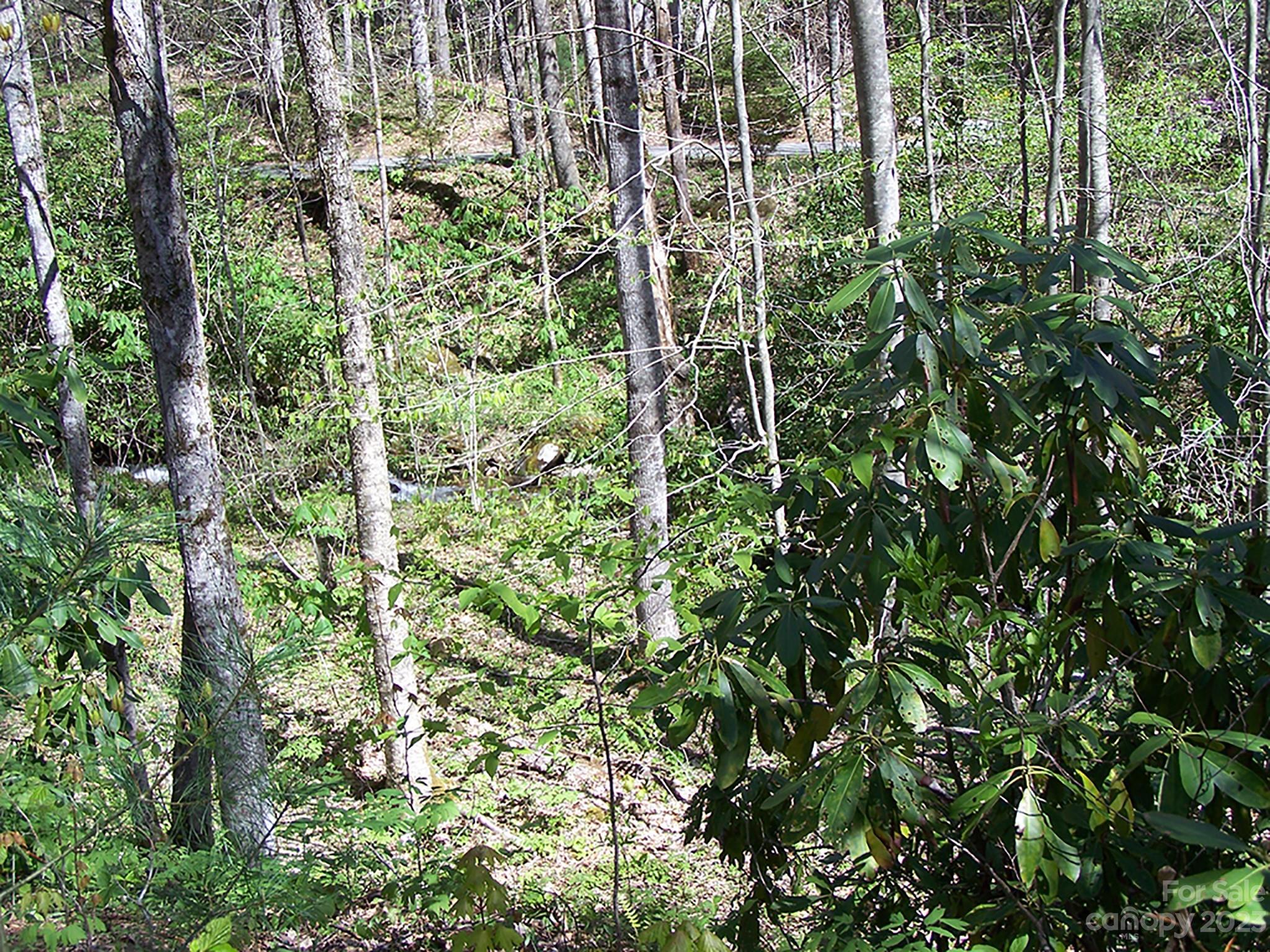 0 Chestnut Flats Road, Unit 13 Waynesville, NC 28786 - Photo 17 of 41 a view of a garden
