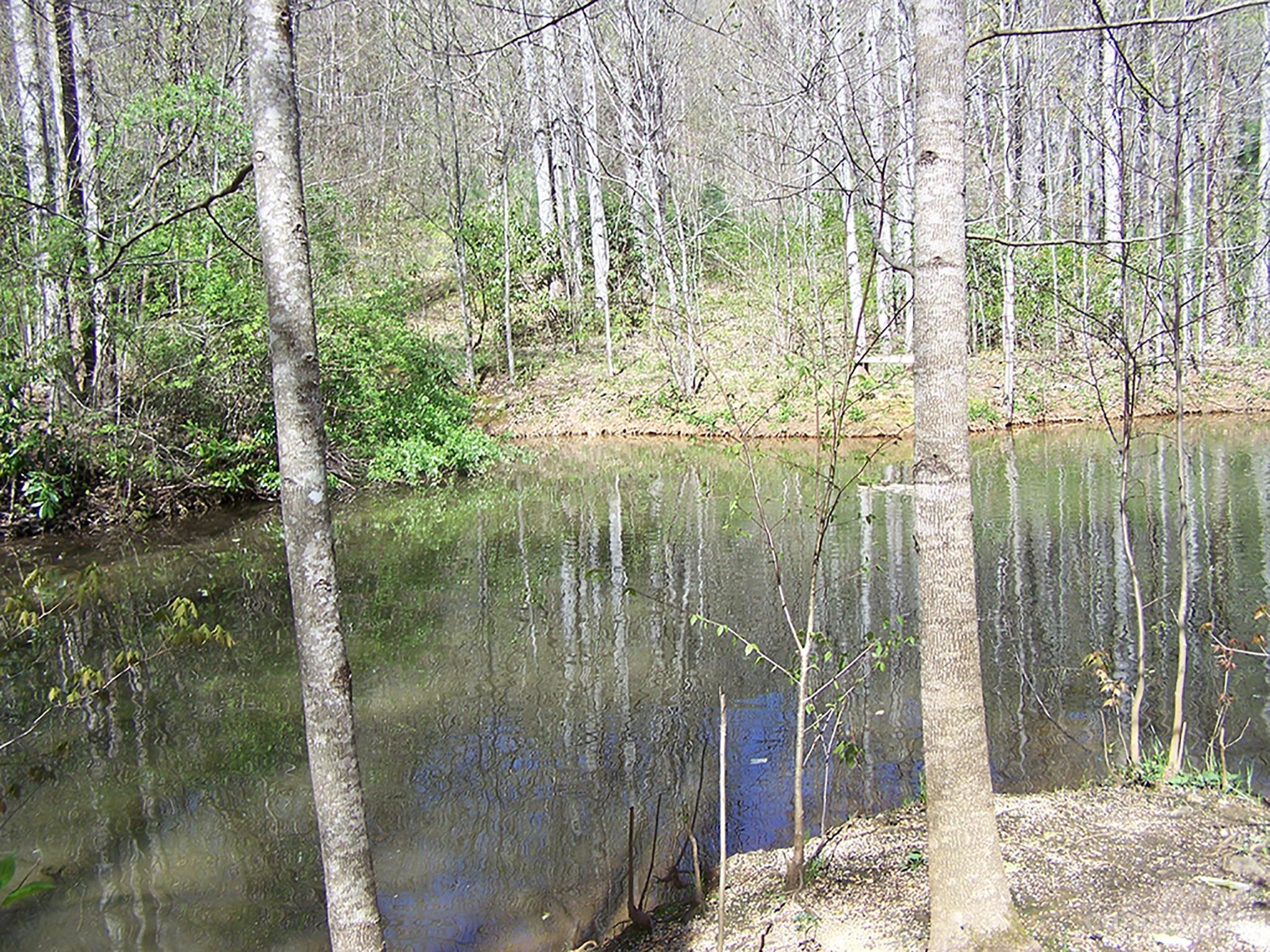 0 Chestnut Flats Road, Unit 13 Waynesville, NC 28786 - Photo 18 of 41 a bathroom with a shower
