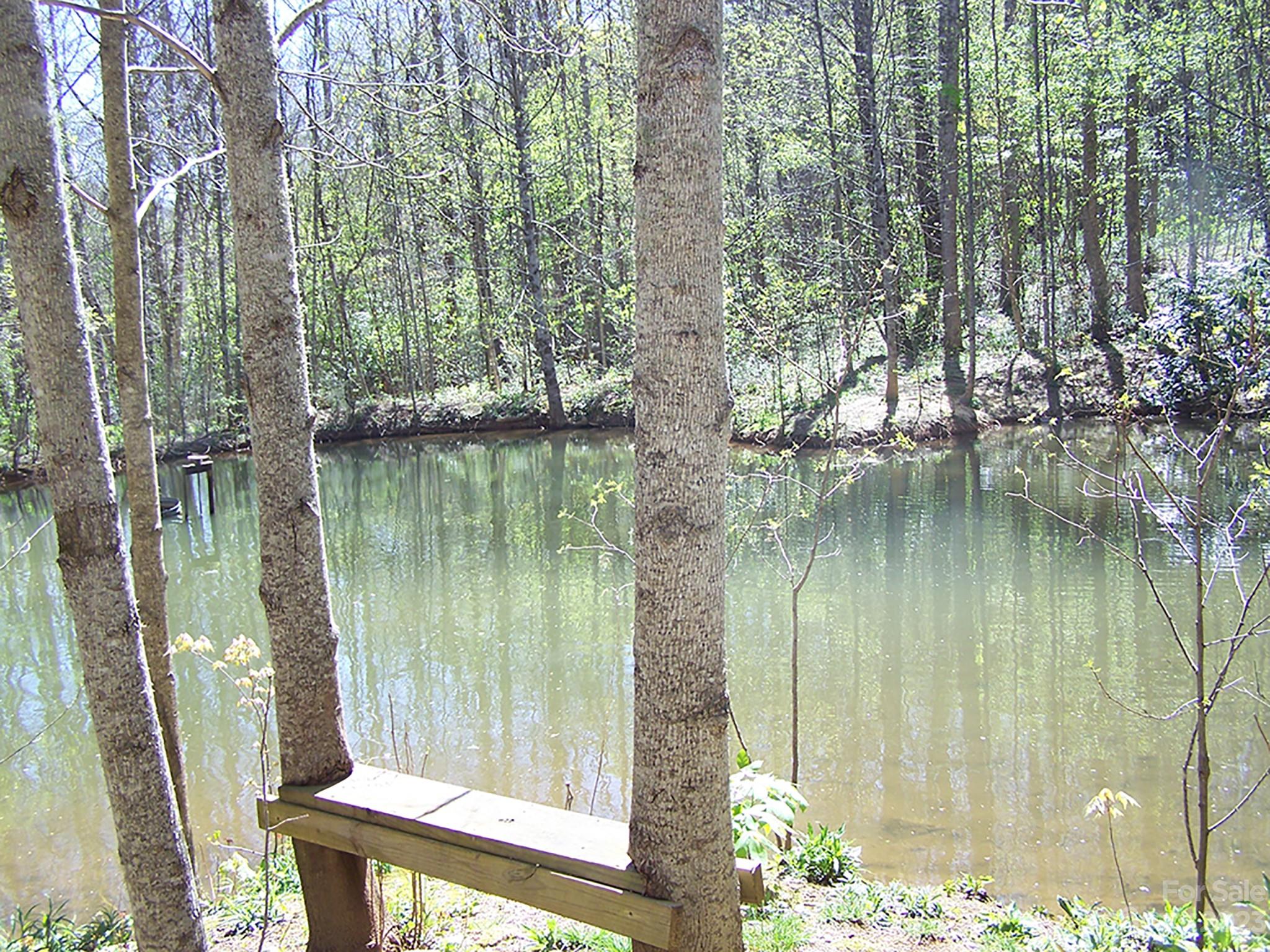 0 Chestnut Flats Road, Unit 13 Waynesville, NC 28786 - Photo 2 of 41 a lake view with large trees