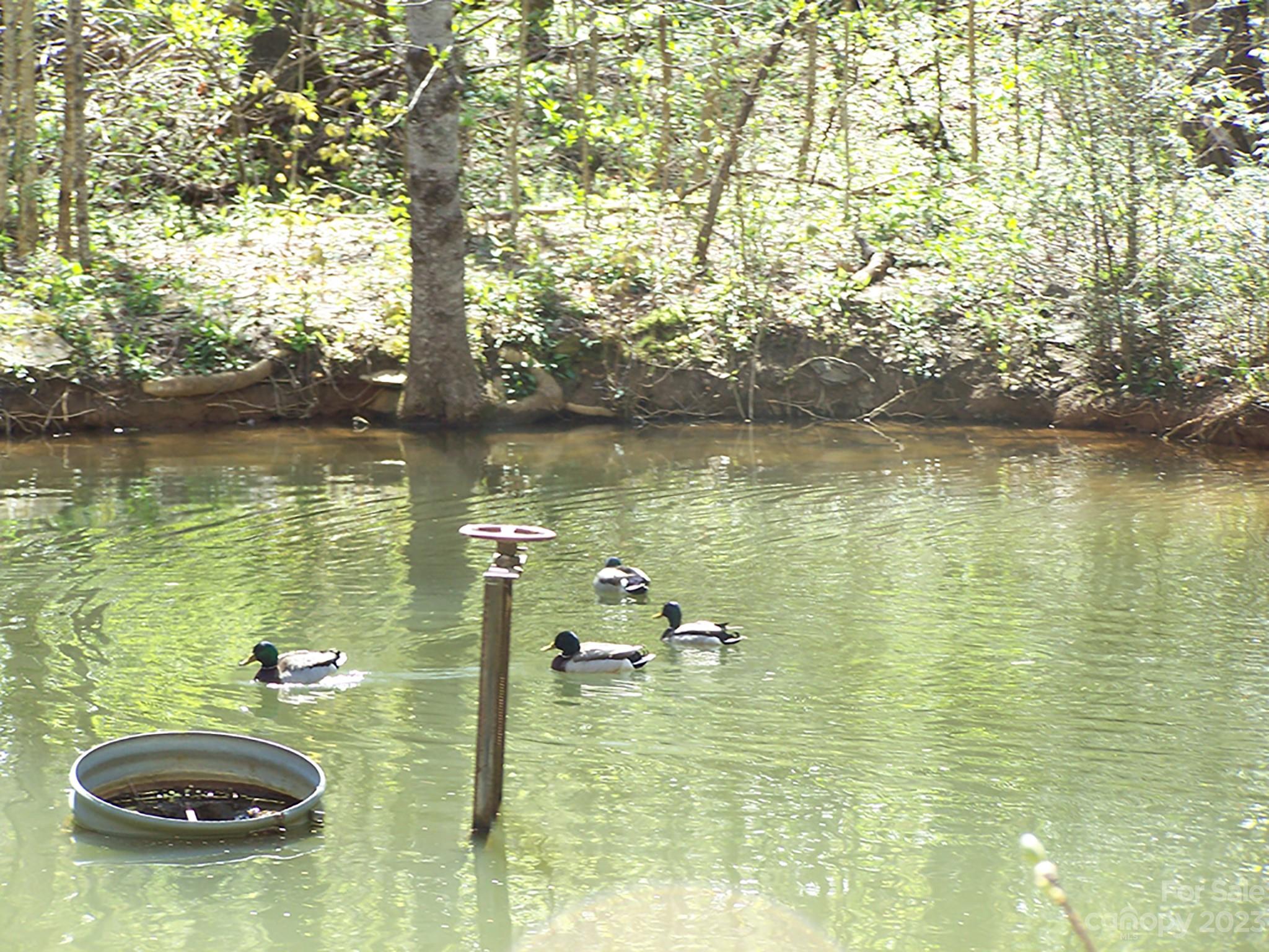 0 Chestnut Flats Road, Unit 13 Waynesville, NC 28786 - Photo 23 of 41 a view of a lake view