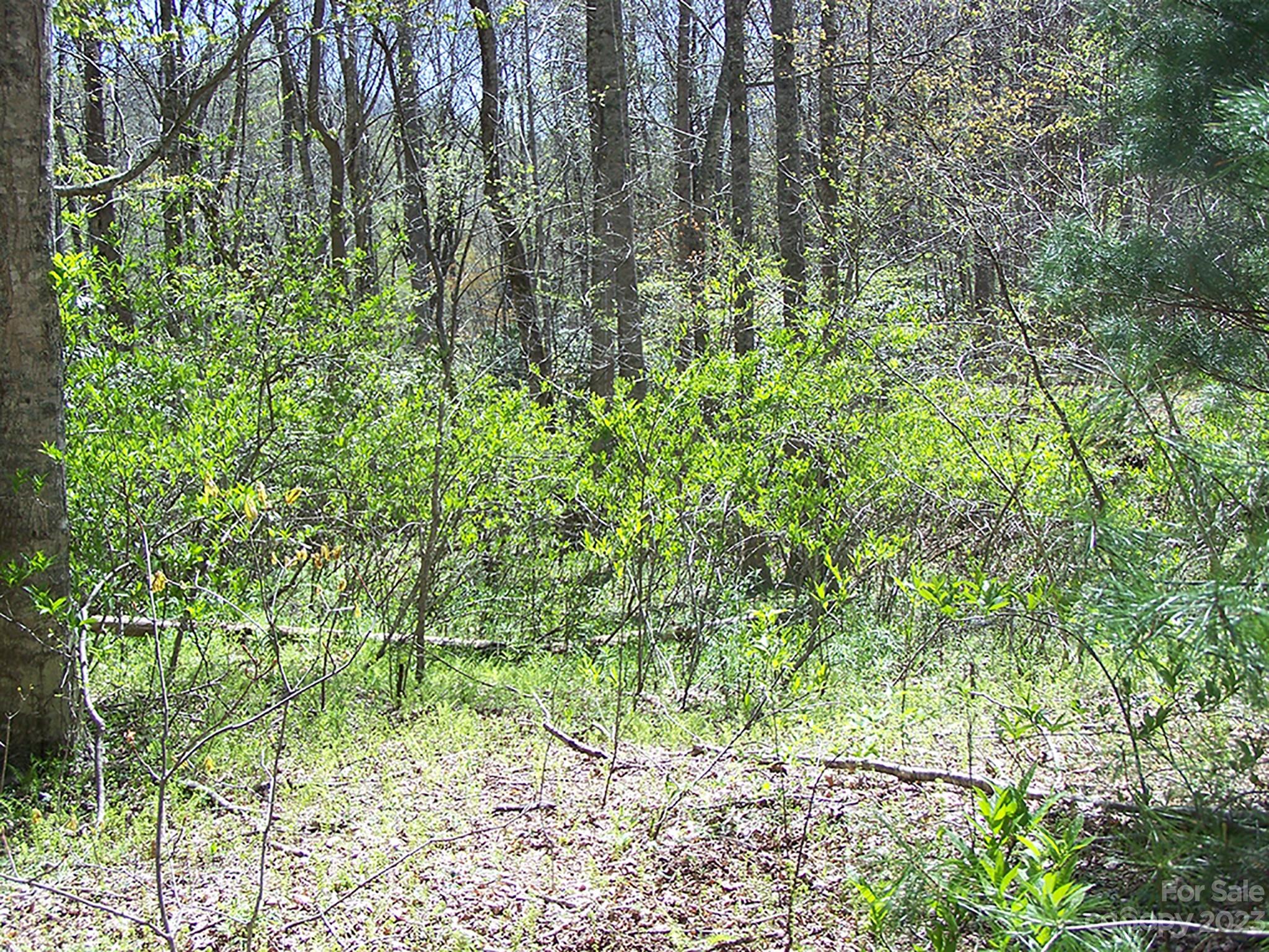 0 Chestnut Flats Road, Unit 13 Waynesville, NC 28786 - Photo 24 of 41 a backyard of a house with lots of green space