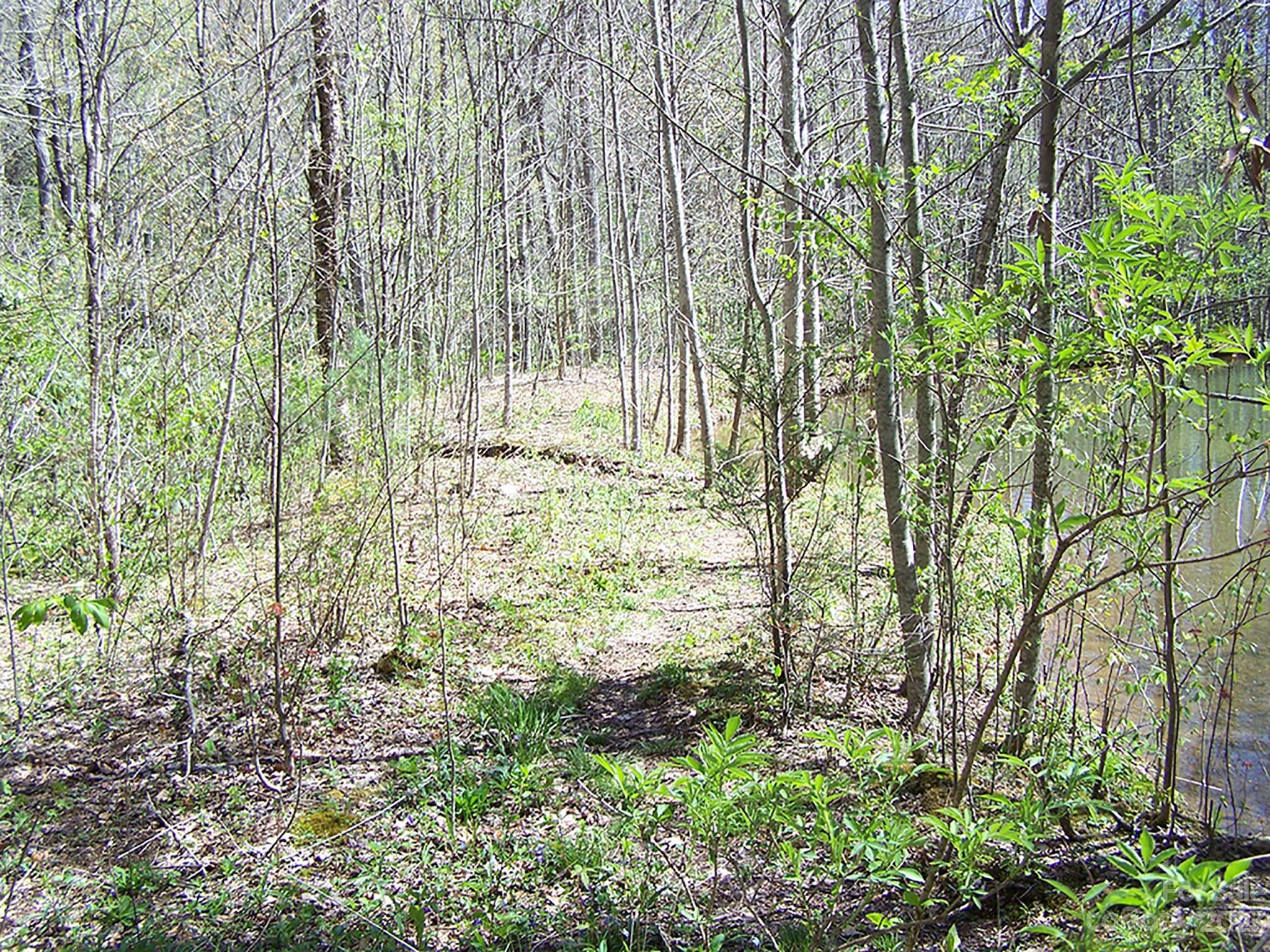 0 Chestnut Flats Road, Unit 13 Waynesville, NC 28786 - Photo 25 of 41 a backyard of a building with lots of green space