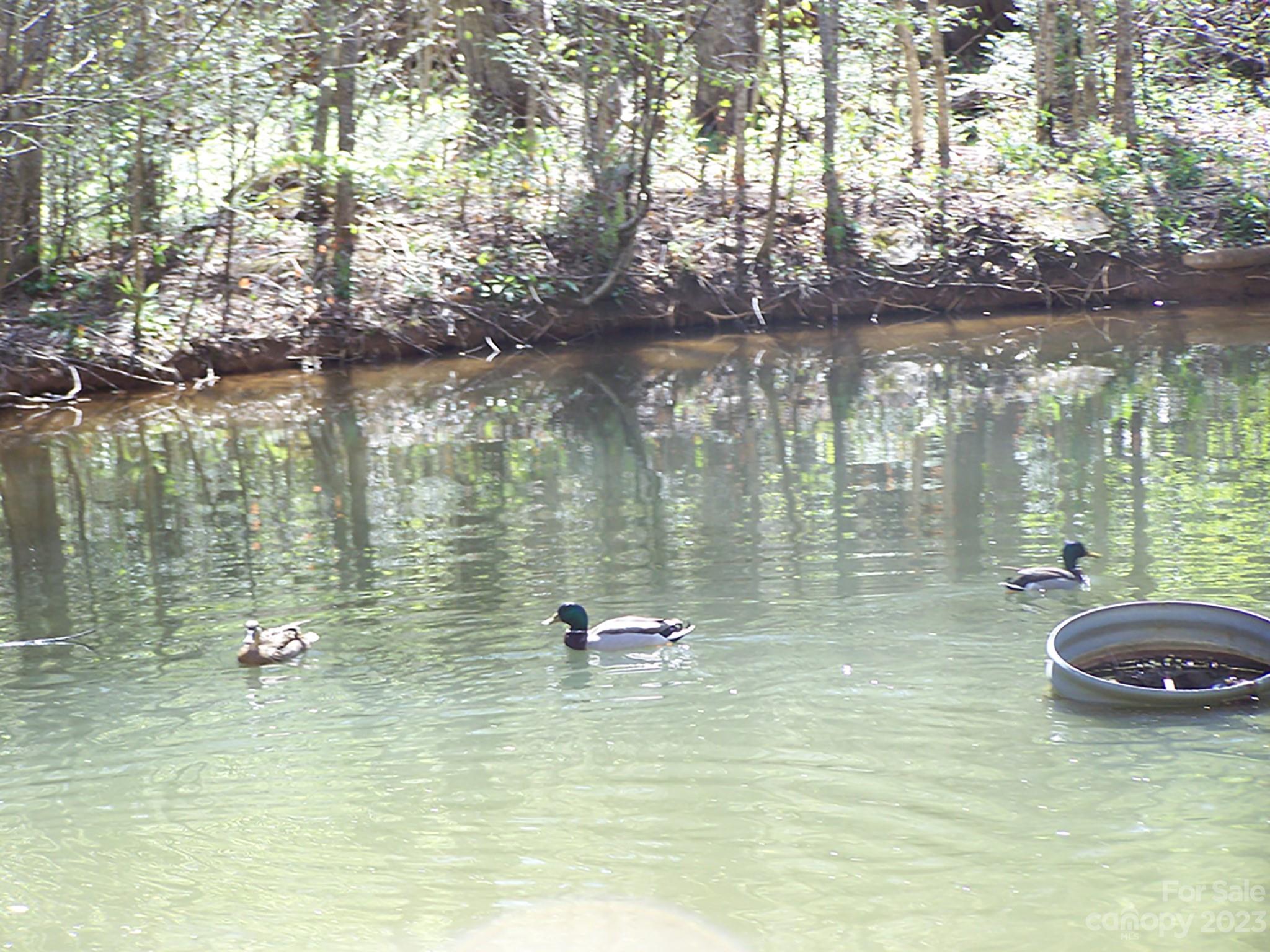 0 Chestnut Flats Road, Unit 13 Waynesville, NC 28786 - Photo 26 of 41 a view of a lake view