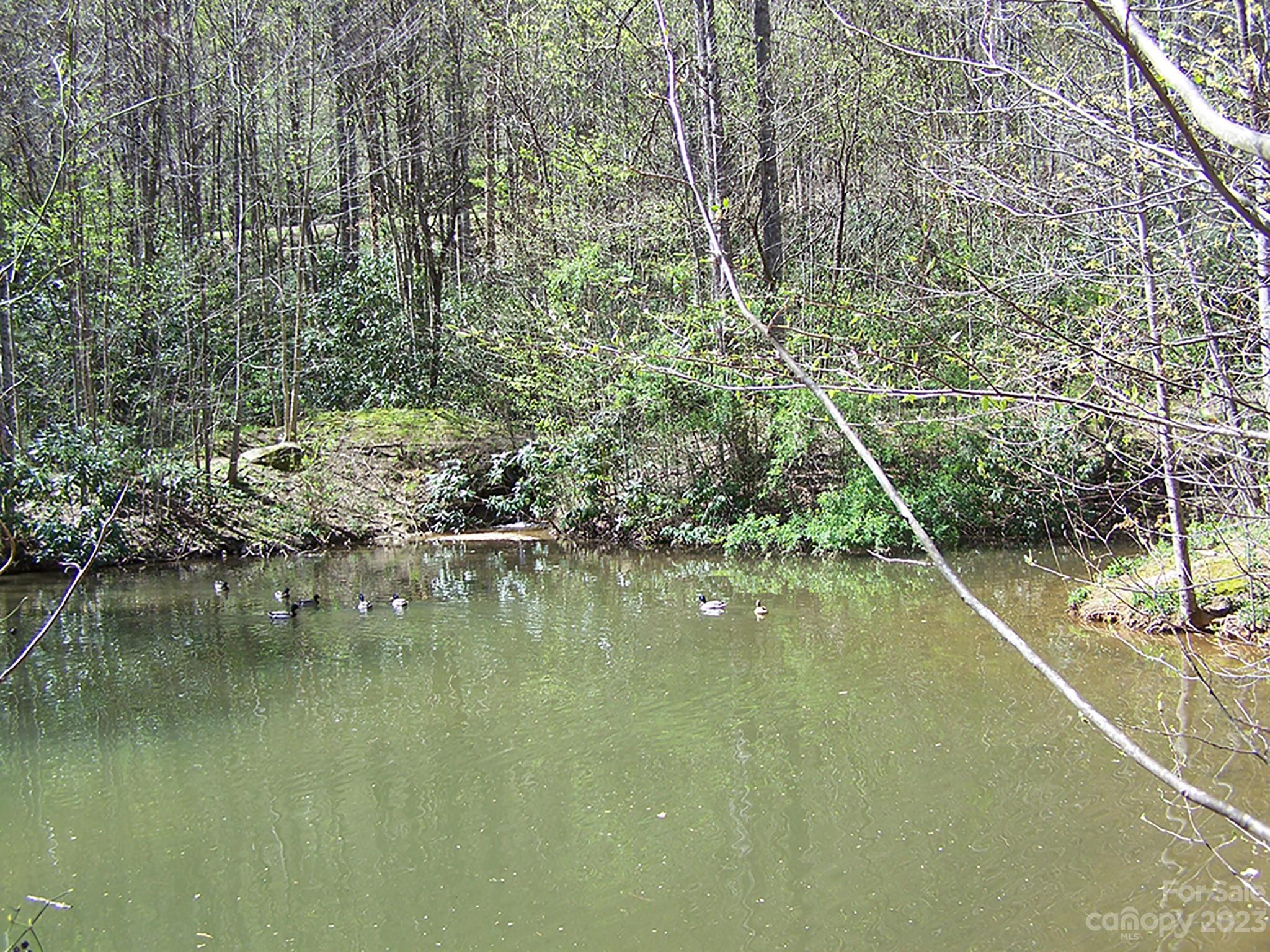 0 Chestnut Flats Road, Unit 13 Waynesville, NC 28786 - Photo 28 of 41 a view of a lake view