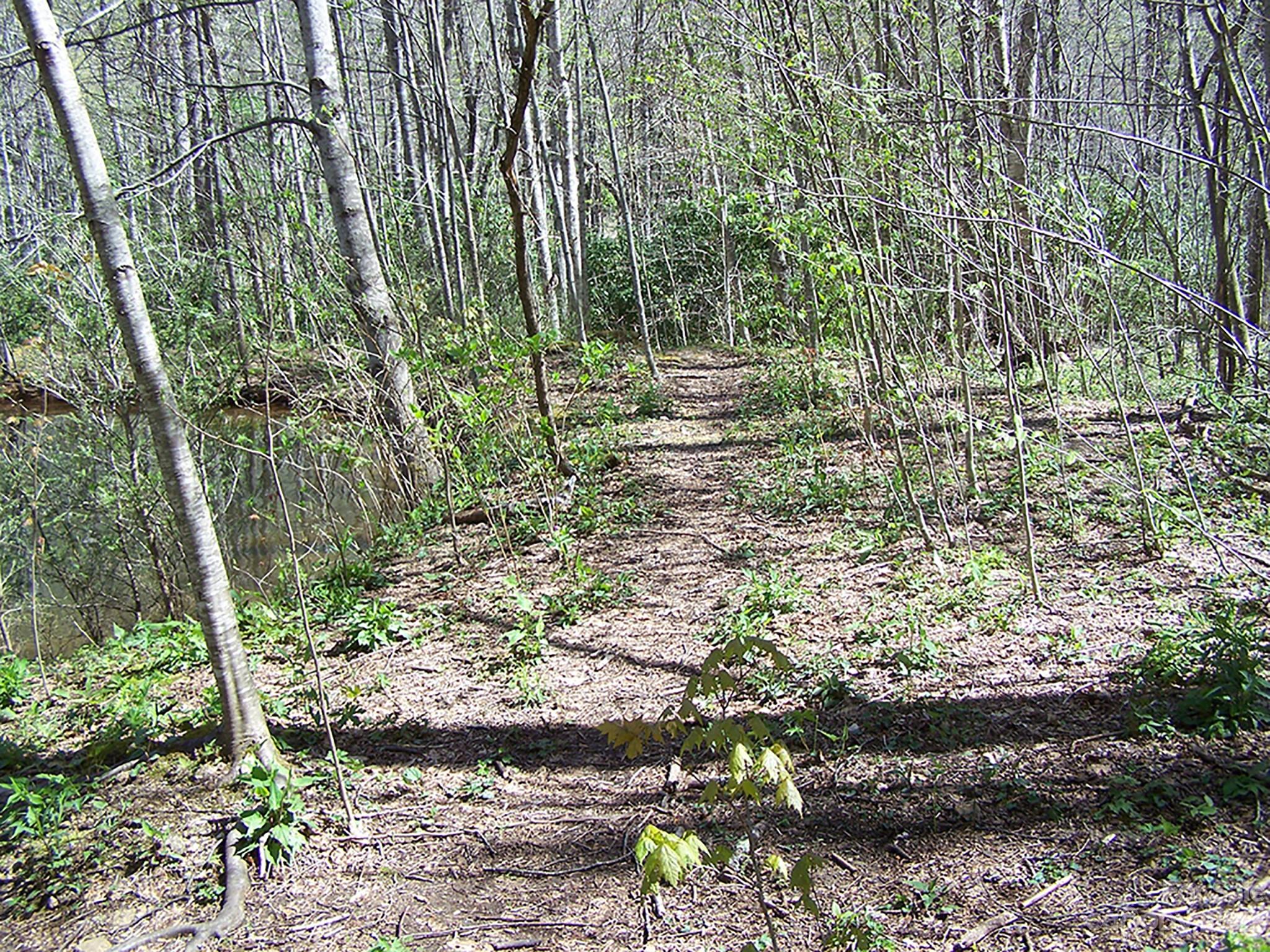 0 Chestnut Flats Road, Unit 13 Waynesville, NC 28786 - Photo 35 of 41 a view of outdoor space and garden