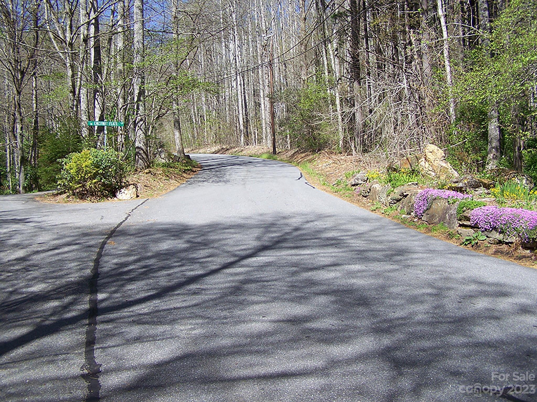 0 Chestnut Flats Road, Unit 13 Waynesville, NC 28786 - Photo 38 of 41 a street view with large trees