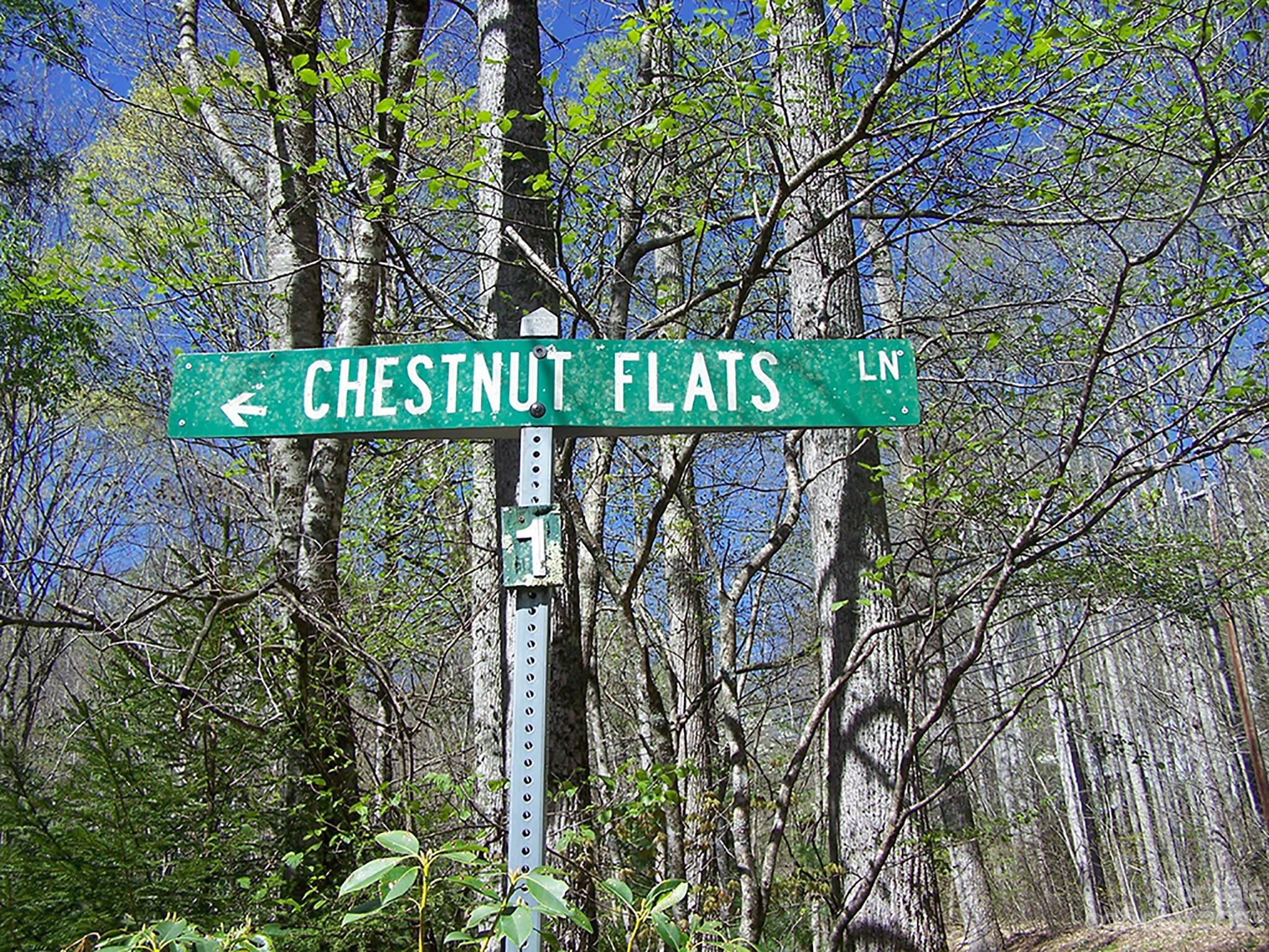 0 Chestnut Flats Road, Unit 13 Waynesville, NC 28786 - Photo 39 of 41 a street sign that is on a tree