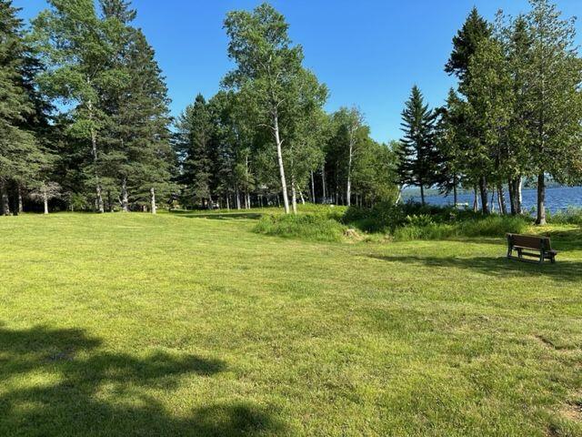 46 Hernborg Road Rangeley, ME 04970 - Photo 14 of 26 Waterfront
