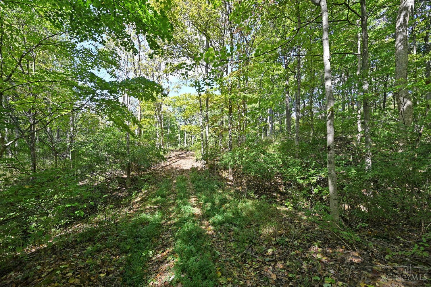3301 Mt Carmel Road Cincinnati, OH 45244 - Photo 13 of 30