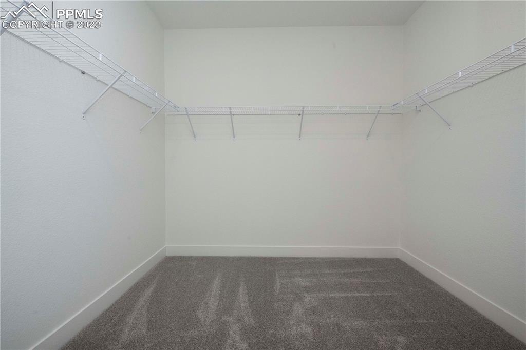 2042 Peachleaf Loop Castle Rock, CO 80108 - Photo 18 of 26 a view of a room