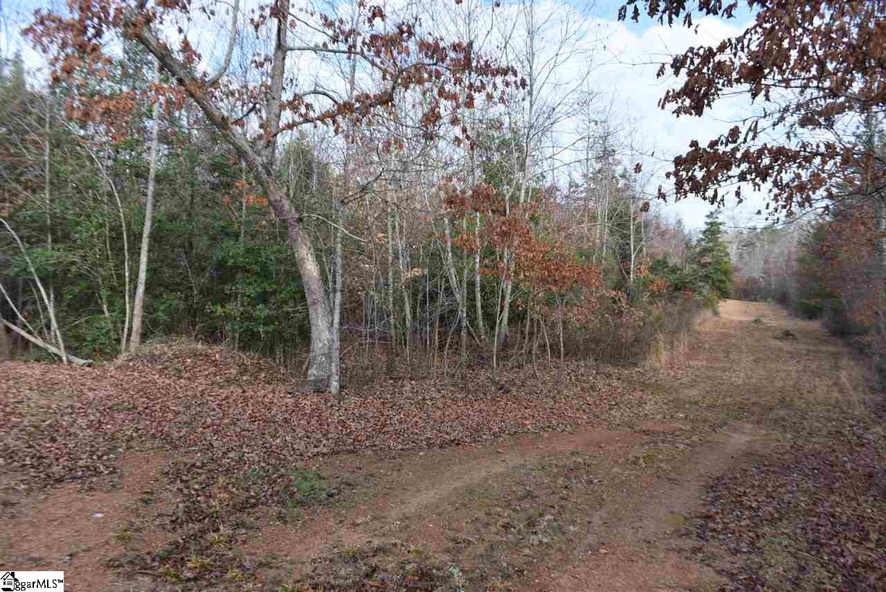 155 Gunter Road, Unit LOT 1 AND 2 Piedmont, SC 29673 - Photo 1 of 20