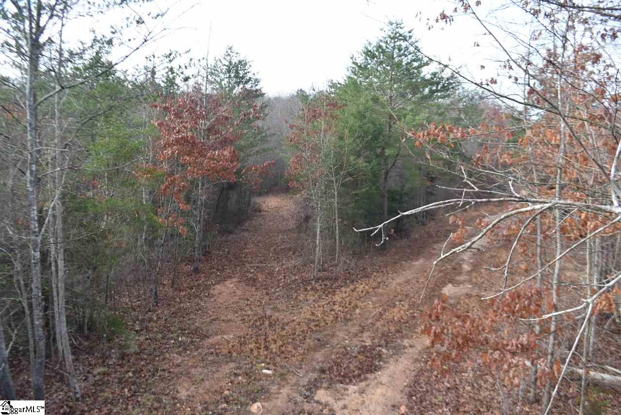 155 Gunter Road, Unit LOT 1 AND 2 Piedmont, SC 29673 - Photo 2 of 20