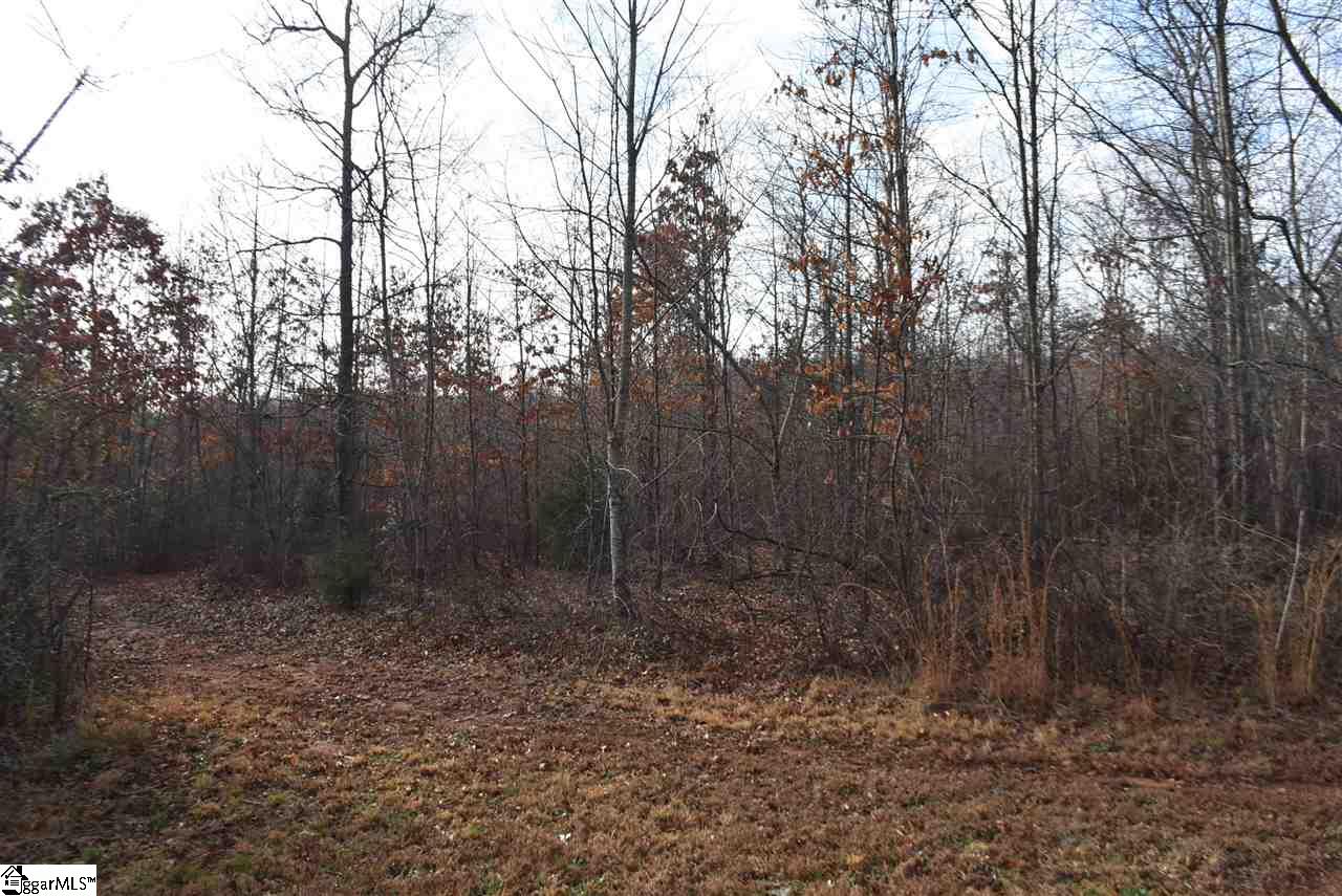 155 Gunter Road, Unit LOT 1 AND 2 Piedmont, SC 29673 - Photo 11 of 20