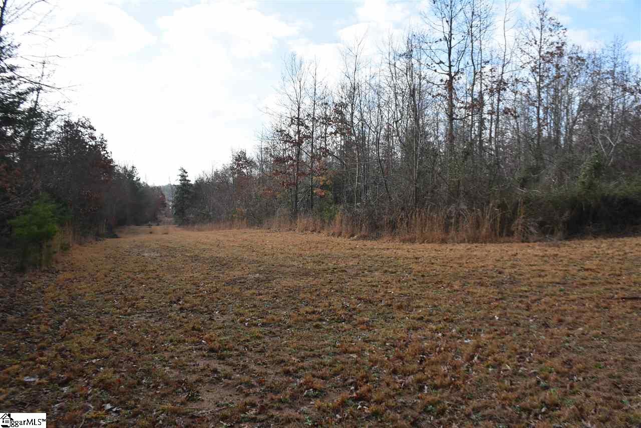 155 Gunter Road, Unit LOT 1 AND 2 Piedmont, SC 29673 - Photo 13 of 20