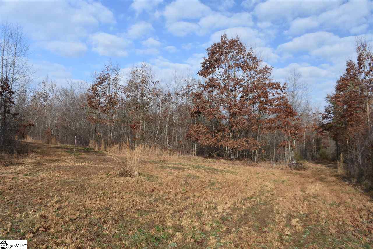 155 Gunter Road, Unit LOT 1 AND 2 Piedmont, SC 29673 - Photo 14 of 20