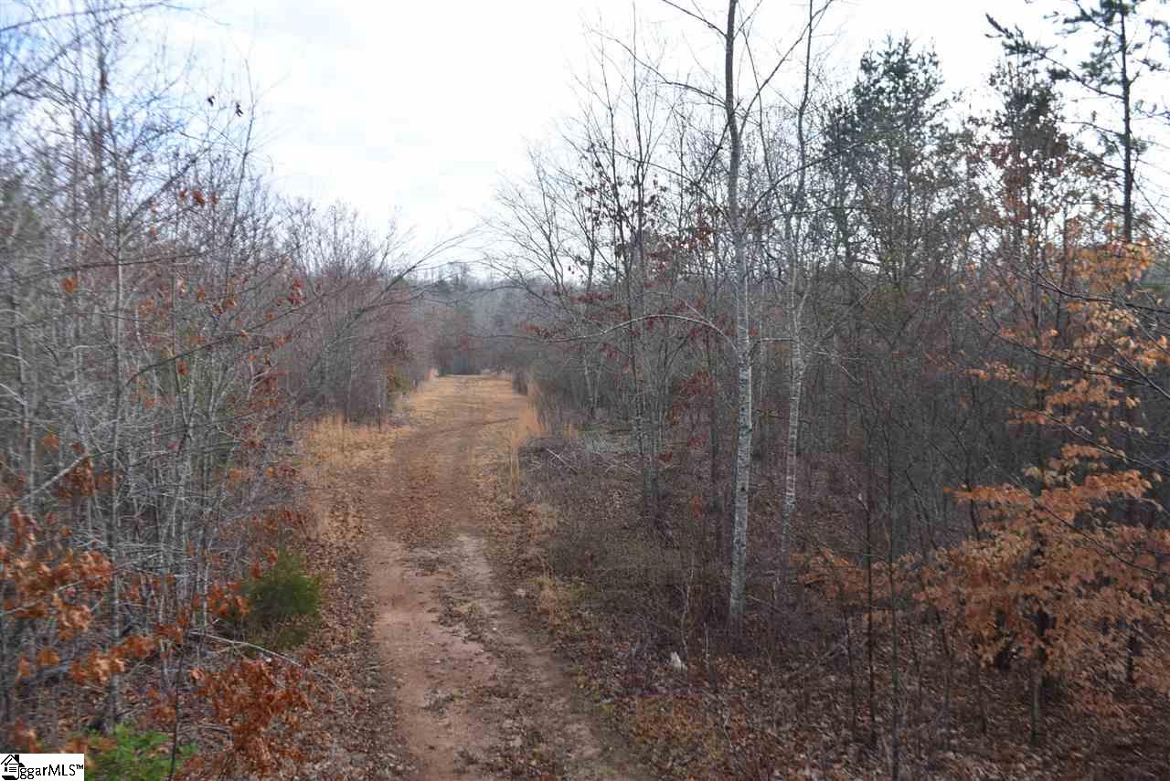 155 Gunter Road, Unit LOT 1 AND 2 Piedmont, SC 29673 - Photo 3 of 20