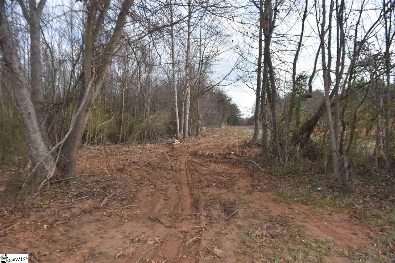 155 Gunter Road, Unit LOT 1 AND 2 Piedmont, SC 29673 - Photo 4 of 20
