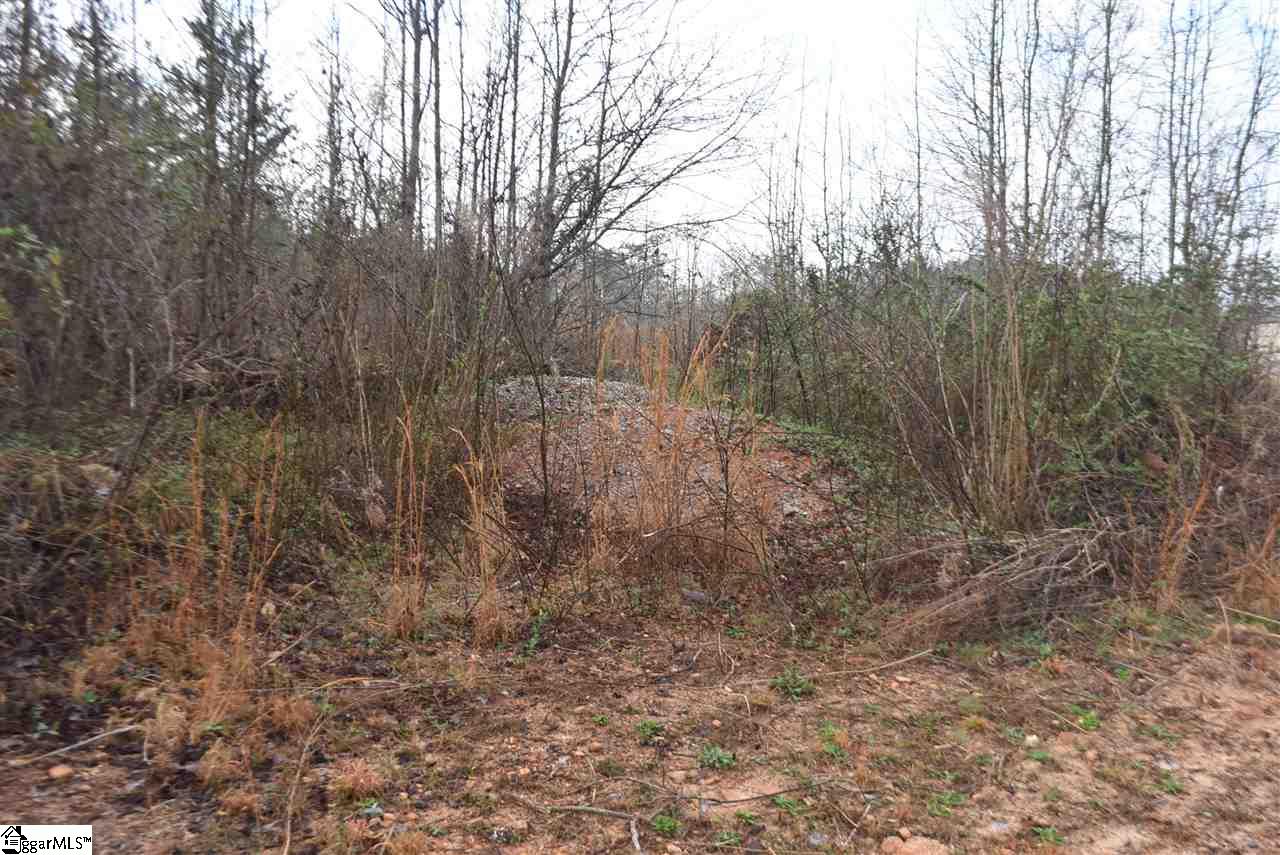 155 Gunter Road, Unit LOT 1 AND 2 Piedmont, SC 29673 - Photo 5 of 20
