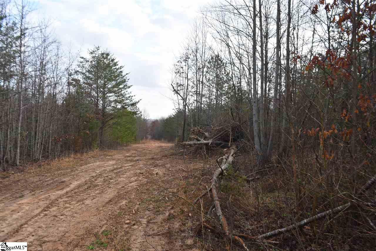155 Gunter Road, Unit LOT 1 AND 2 Piedmont, SC 29673 - Photo 6 of 20