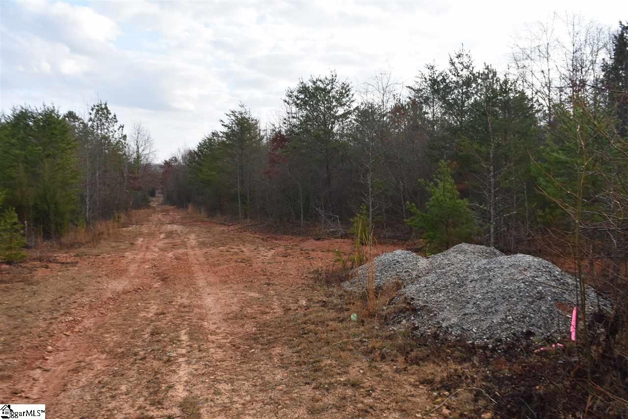 155 Gunter Road, Unit LOT 1 AND 2 Piedmont, SC 29673 - Photo 7 of 20